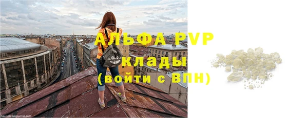 спиды Богданович