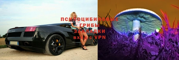 трава Елизово