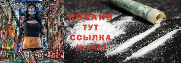 спиды Богданович