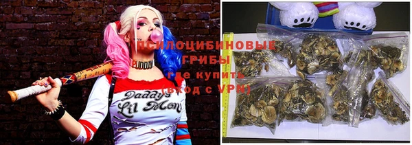 спиды Богданович