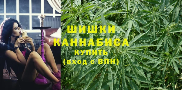 ешки Белокуриха