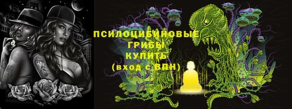 твердый Богородицк