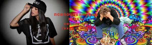 спиды Богданович
