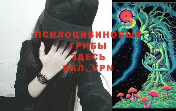не бодяженный Богородск